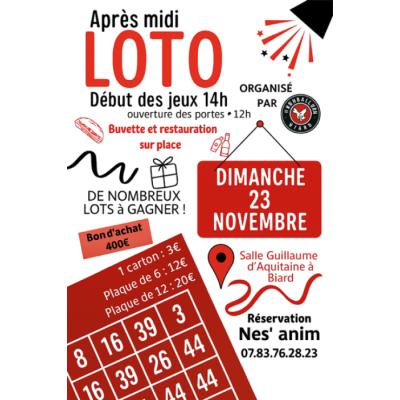 Photo du Loto du Handball à BIARD animé par Nes'Anim à Biard