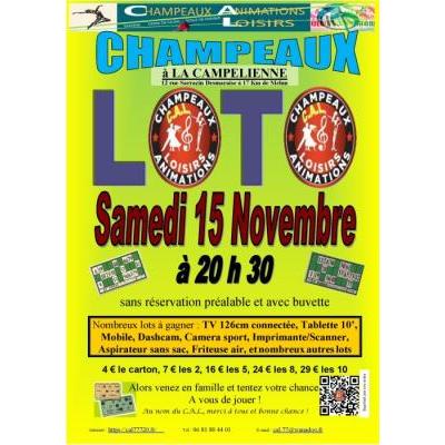 Photo du LOTO du 15 novembre 2025 à CHAMPEAUX (77720)  à Champeaux