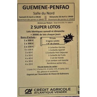 Photo du 2 super Lotos à Guémené-Penfao