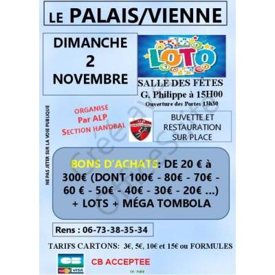 Photo du LOTO AMICALE LAIQUE DU PALAIS SUR VIENNE HANDBALL à Le Palais-sur-Vienne