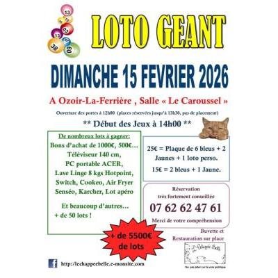 Photo du LOTO GEANT 77 Ozoir la Ferri&egrave;re plus de 5500e de lot BA à Ozoir-la-Ferrière