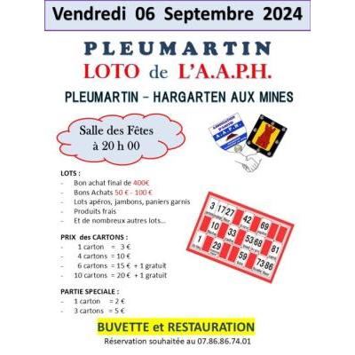 Photo du LOTO A.A.P.H. à Pleumartin