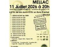 Loto au profit d'une oeuvre caritative du comit&eacute; des f&ecirc;tes de Penlann